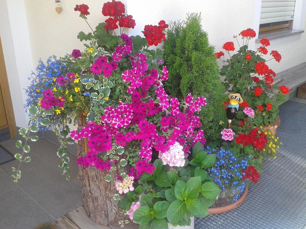 Appartements Faerberhof Olang Dış mekan fotoğraf